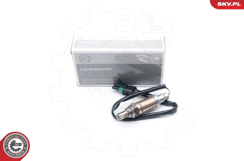 Oxygen Sensor